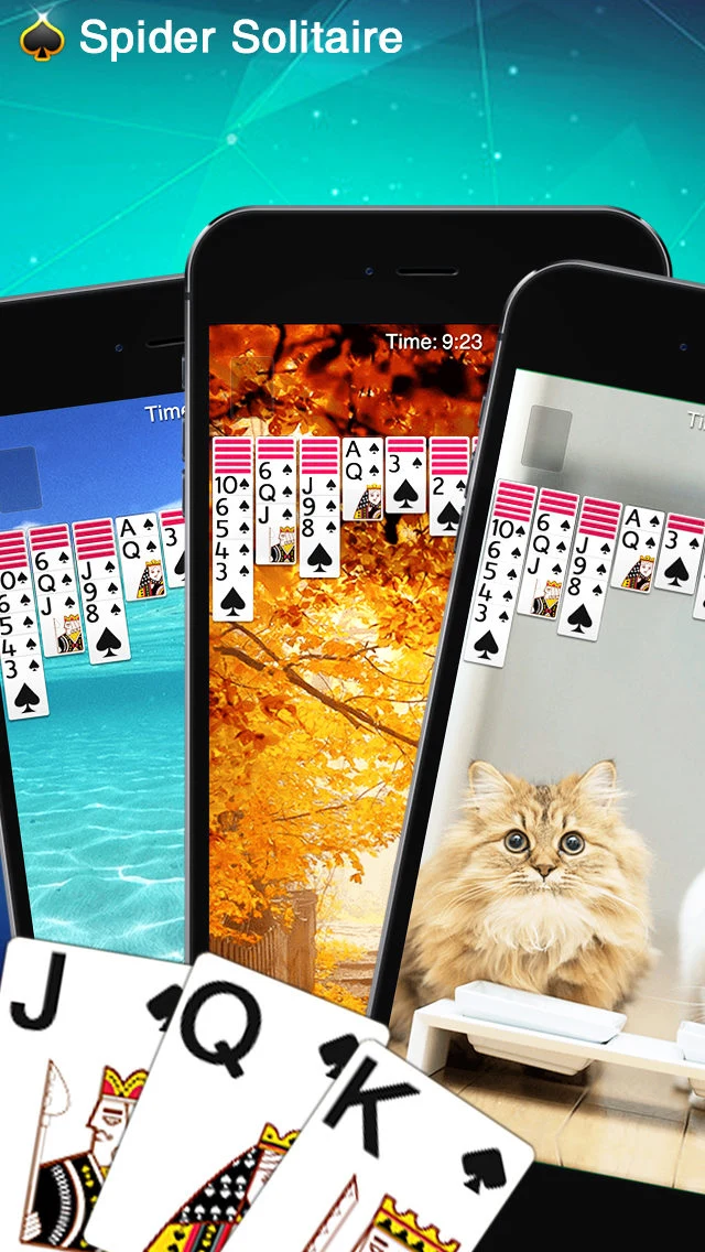 Spider Solitaire screenshot